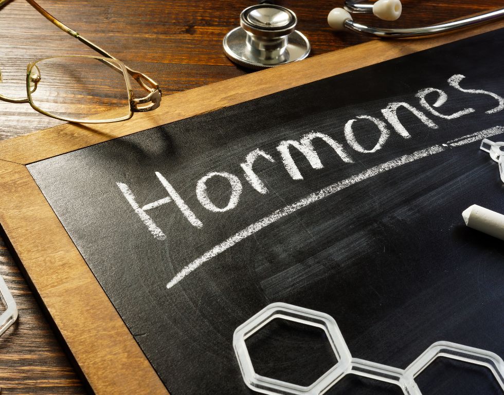 Was ist Hormontherapie für den Hormonhaushalt