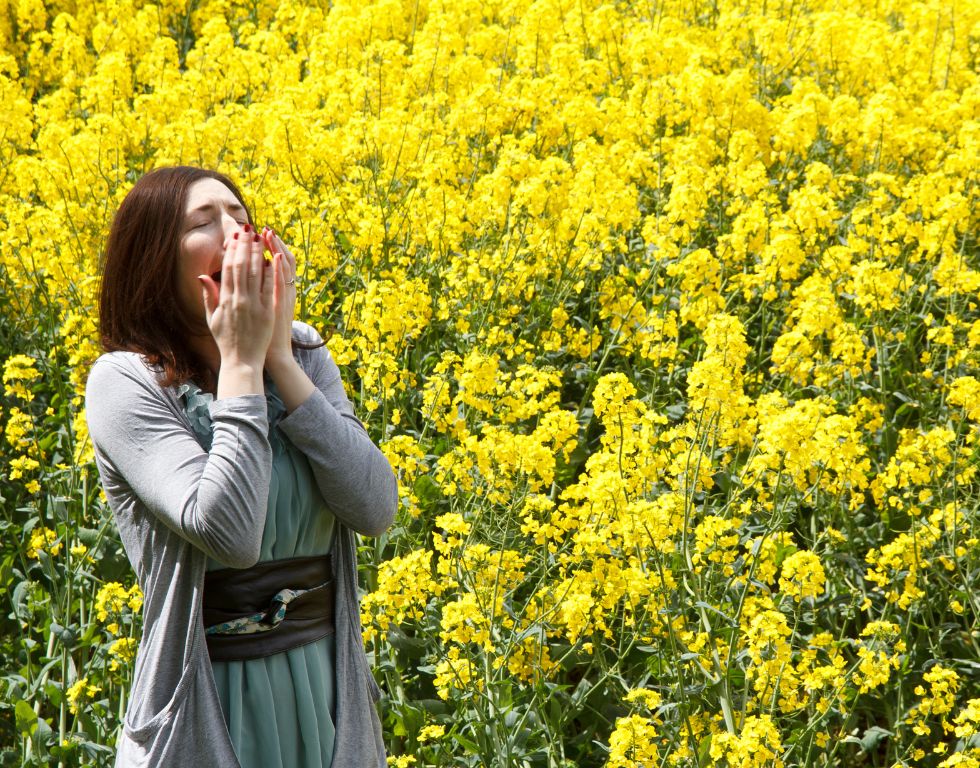 Wer sollte eine Allergiebehandlung in Erwägung ziehen